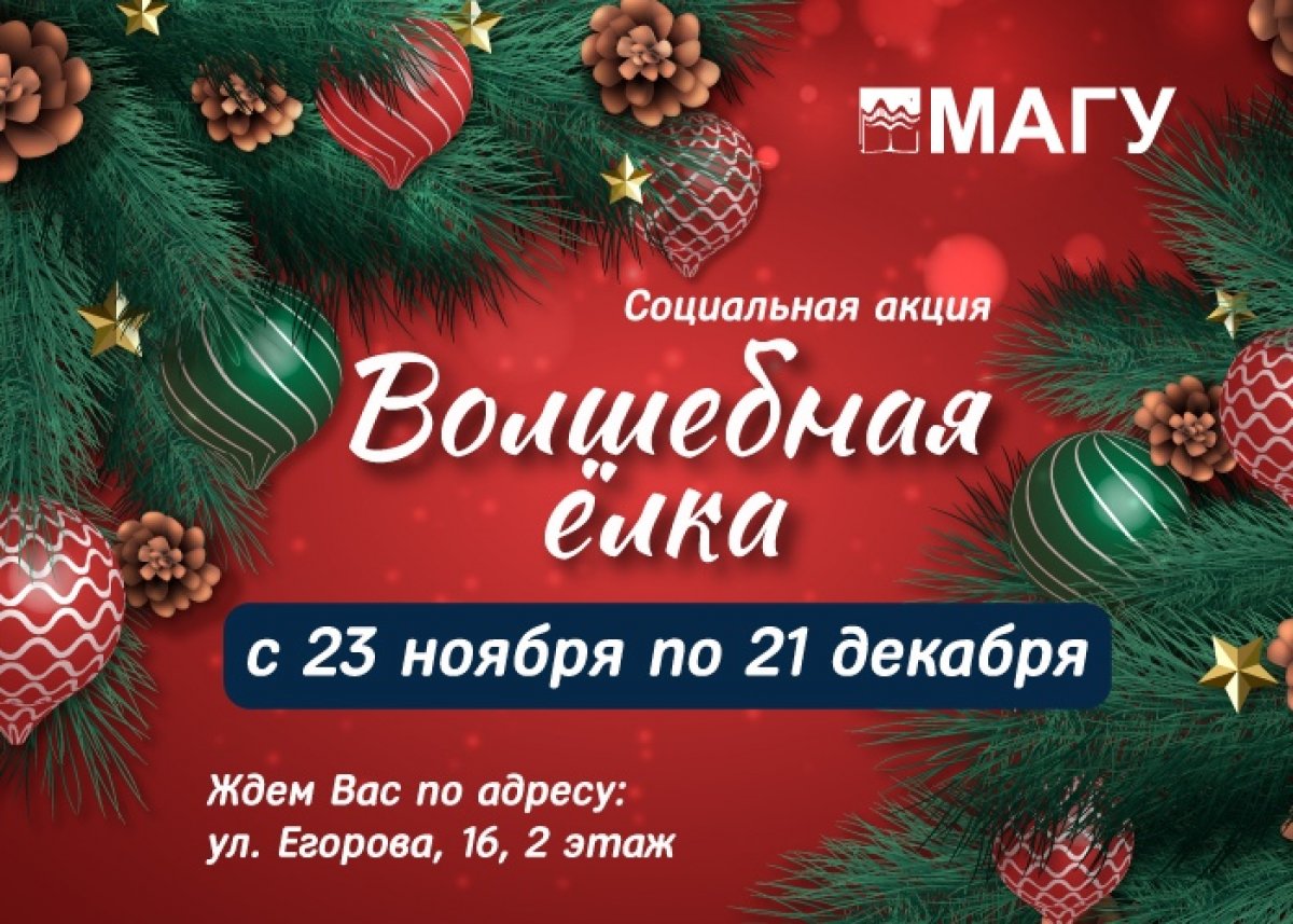 🎅 Стань для кого-то Дедом Морозом! В МАГУ установят «Волшебную елку» 🎄