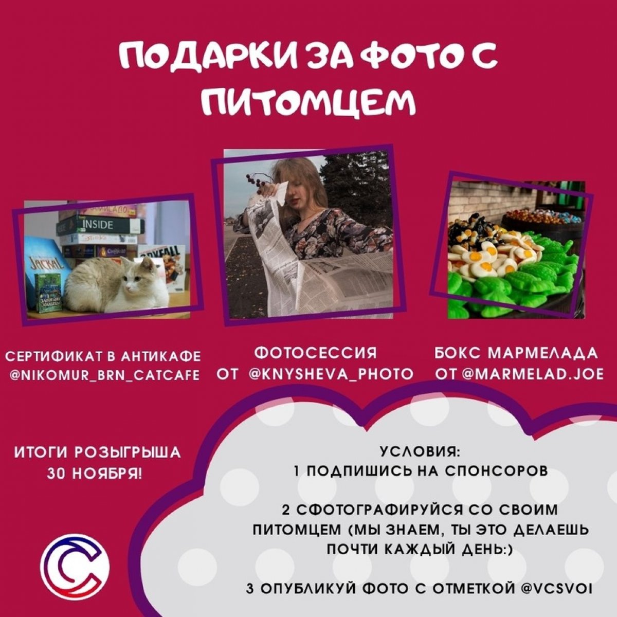 Фото с котиком сделал — призы от ВЦ «СВОЙ» получил 😎